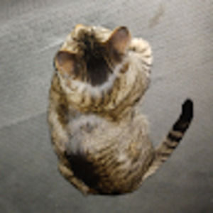 Meet your Posher, Cole